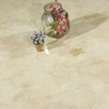 Marble 600*600*12mm Laminate Flooring (F821)